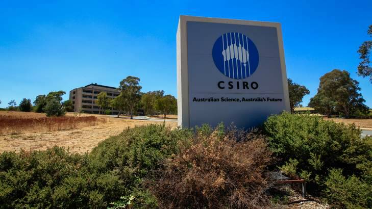 A report found there were problems at the CSIRO and "pockets" of particular concern  but no toxic workplace culture or widespread bullying. Photo: Katherine Griffiths