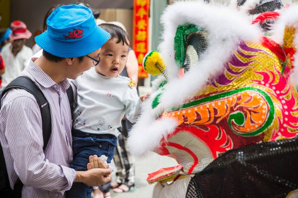 A Chinese dragon greets Timmy Yang Yang, 2, at the National Multicultural Festival. Photo: Matt Bedford