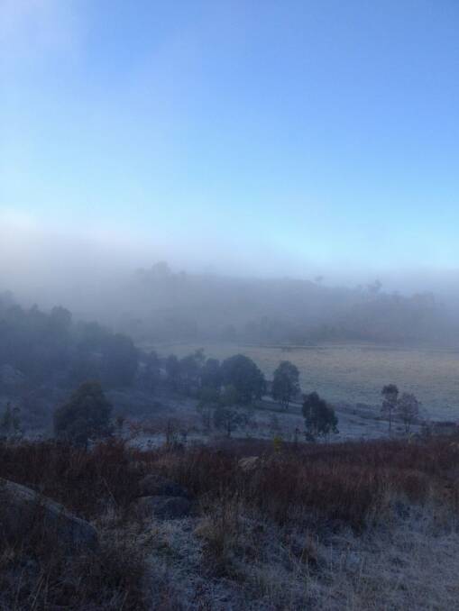 Gavin Rose's image taken on an early morning walk on Cooleman Ridge. Photo: Gavin Rose