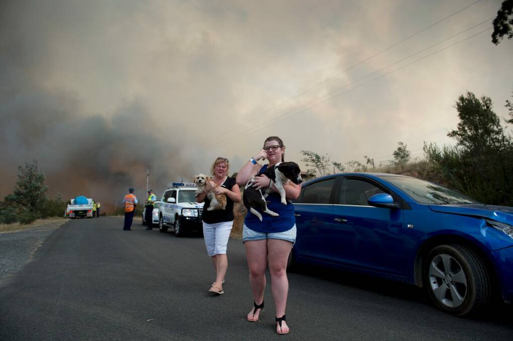 Calissa Wallace with her mum and two dogs, walking away from the flames that had engulfed their Carwoola home on Widgiewa Road. Photo: Jay Cronan