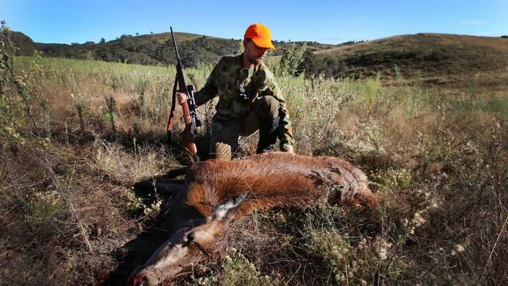 Canberra deer hunter David Carter pictured with a Red Deer shot during an early morning hunt in 2011. Photo: Andrew Sheargold