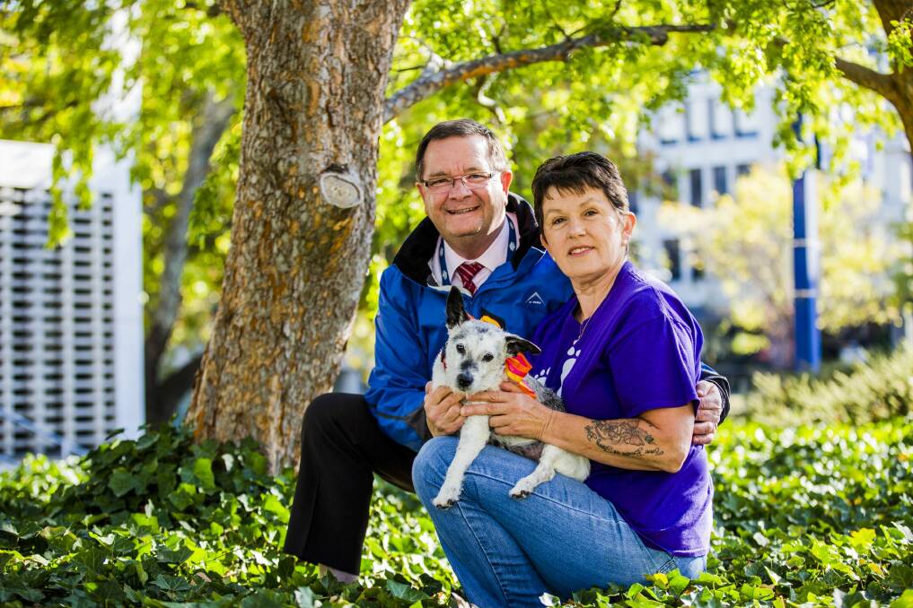 Sheila and Mark Lynch and their dog Freddy. Their entry, Team Jim Jam, is again the lead fundraiser for the Million Paws Walk. Photo: Jamila Toderas