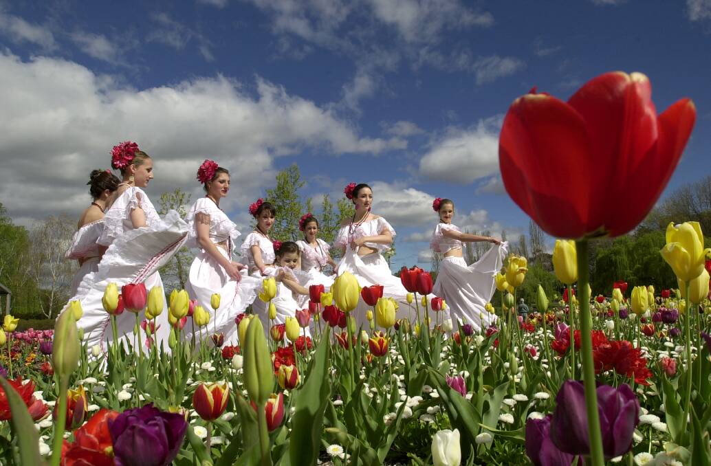 By getting up close with a wide angle lens, the photographer was able to convey the impression that the tulip is dwarfing the dancers. Photo: Lannon Harley