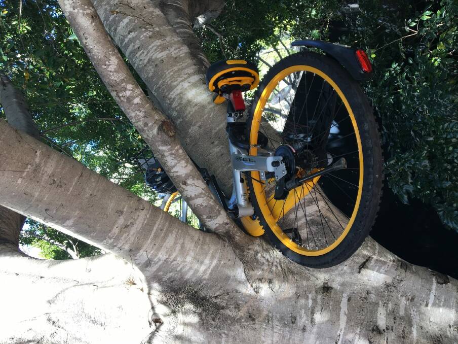 An illegally dumped Obike in Sydney's Darling Harbour precinct. Photo: Les Hewitt