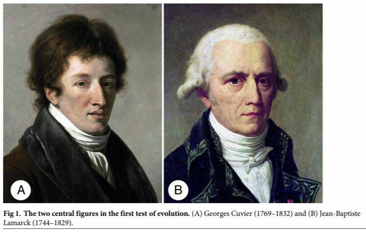 Are French naturalists Georges Cuvier and Jean-Baptiste Lamarck the true fathers of evolutionary thought? Photo: supplied