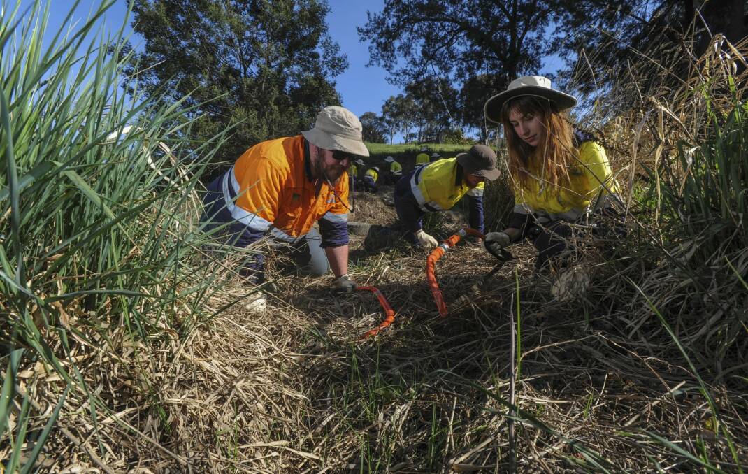 A team from Conservation Volunteers Australia at work at Ginninderra Creek, Evatt. Supervisor Brian Butler (left) with participants Tom Byles, 18, of Burra, centre and Amanda Williams, 21, of Lyneham. Photo: Graham Tidy