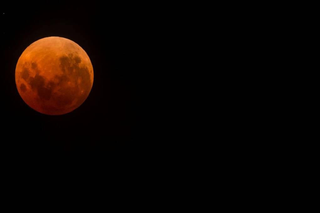 Adrian Fallace (@adrianfallace_photography) stayed up late to take this photo of Wednesday night's blood moon. Photo: Adrian Fallace