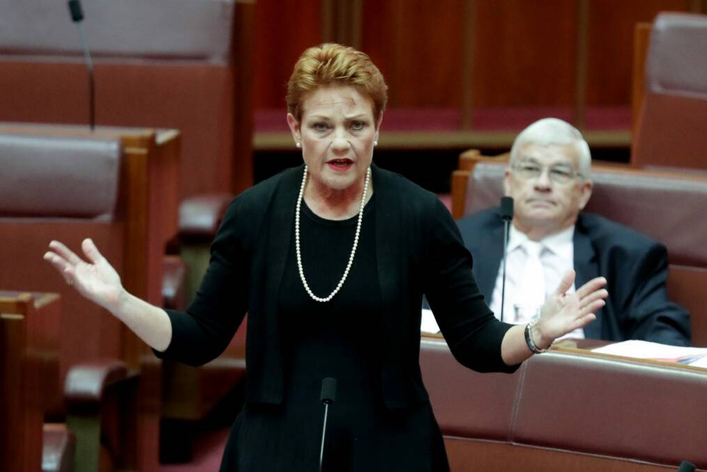 Senator Pauline Hanson's political stocks are rising. Photo: Andrew Meares