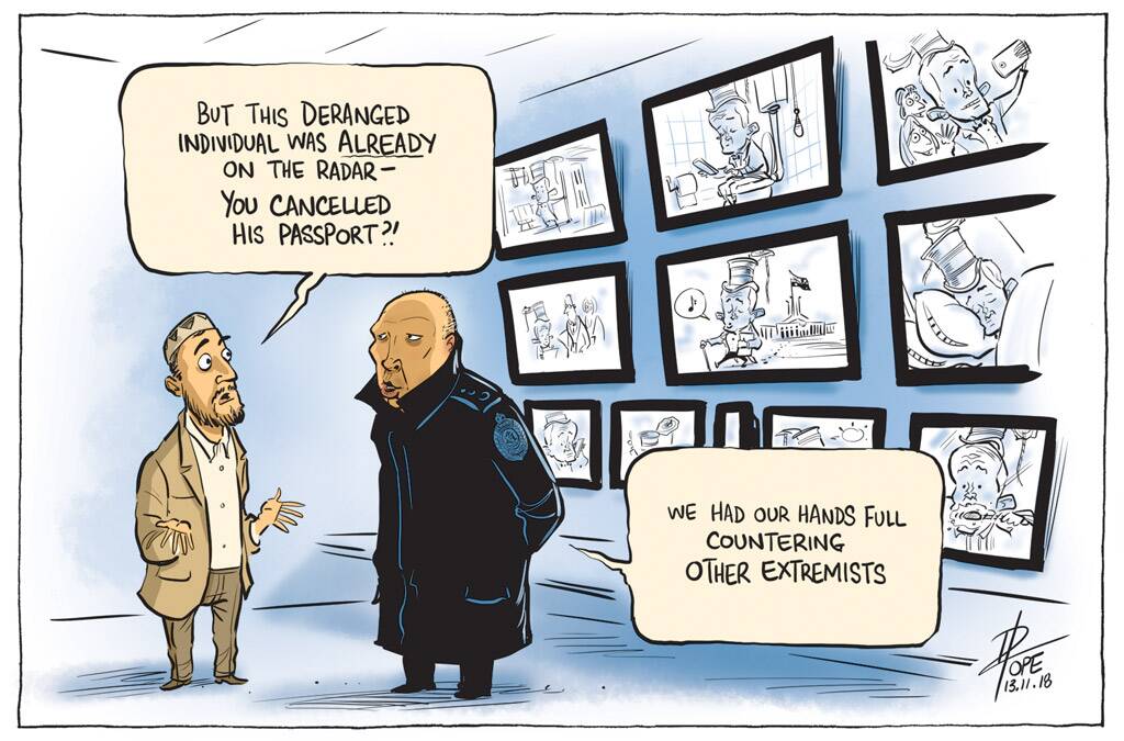 The Canberra Times' editorial cartoon for Tuesday, November 13, 2018. Photo: David Pope