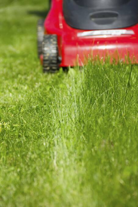 The smell of freshly mown grass. Photo: istock