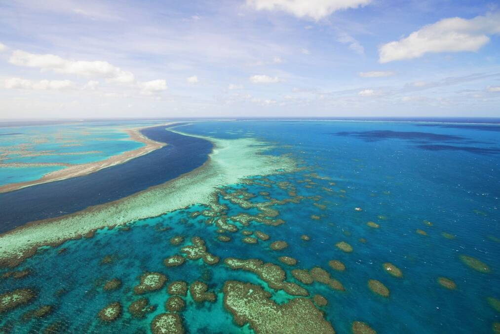 Greg Hunt said the reef was the best managed marine ecosystem in the world.