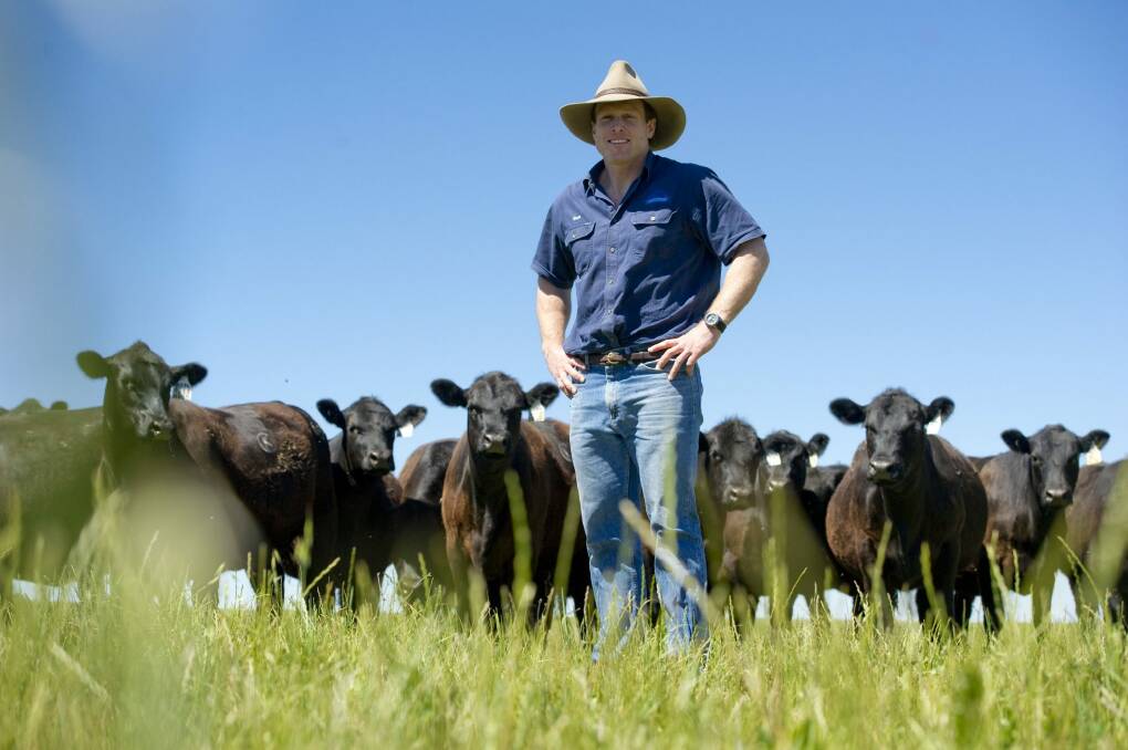 Sam Burton Taylor, pictured on his Boorowa farm, said the rise in prices for Australian cattle was an overdue and likely sustained correction. "It won't be a windfall, it will be more than that."  Photo: Jay Cronan