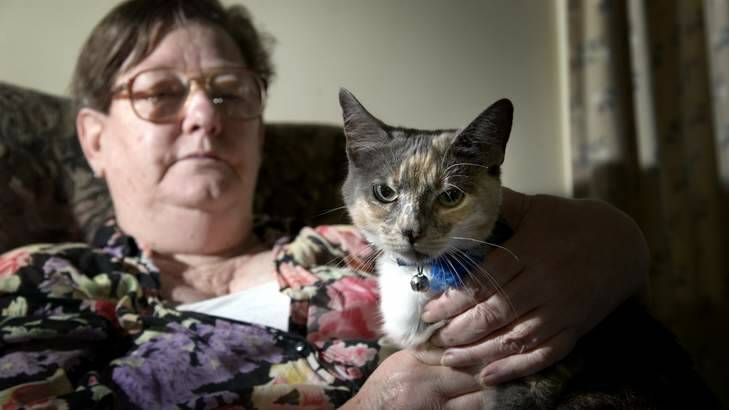 Helen Forbes with her cat Misty who was attacked by a dog. Photo: Elesa Kurtz