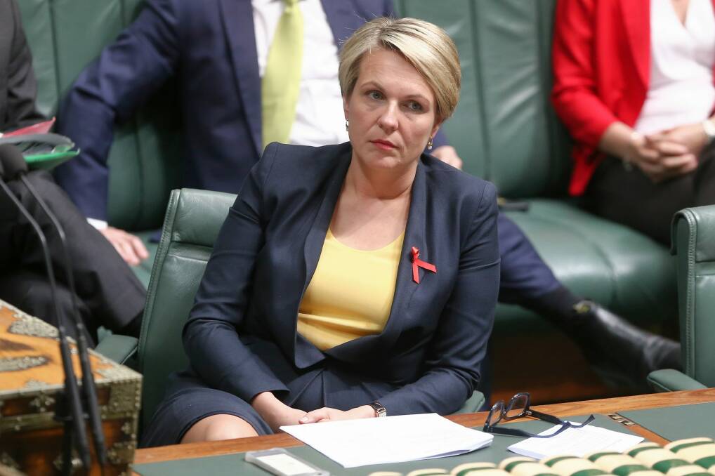 Tanya Plibersek says Labor would remove children from detention as soon as possible.  Photo: Alex Ellinghausen