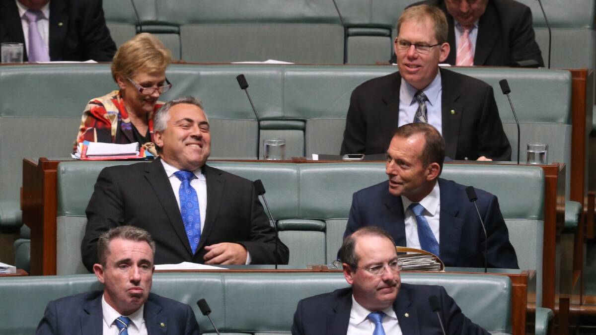 Mr Hockey nad Mr Abbott during question time. Photo: Andrew Meares