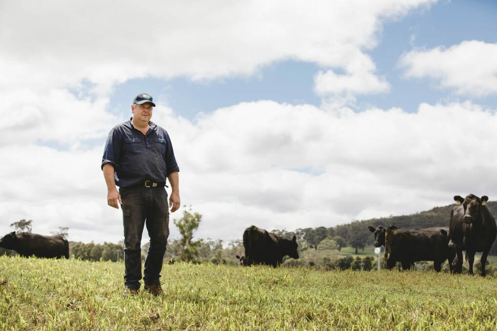 Ian Cargill,  at his property in Braidwood, says the rain and green growth has lifted people's mood but more rain is needed before winter. Photo: Jamila Toderas