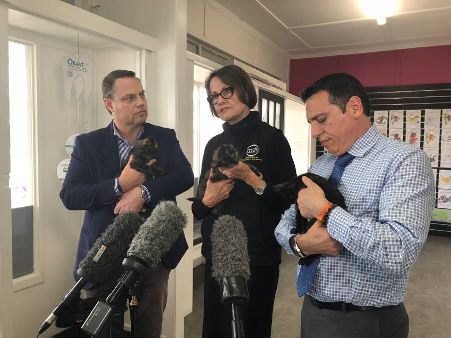 Deputy Mayor Adrian Schrinner, AWLQ strategic director Joy Verrinder and Councillor Peter Matic with foster kittens at the cat desexing program announcement. Photo: Ruth McCosker