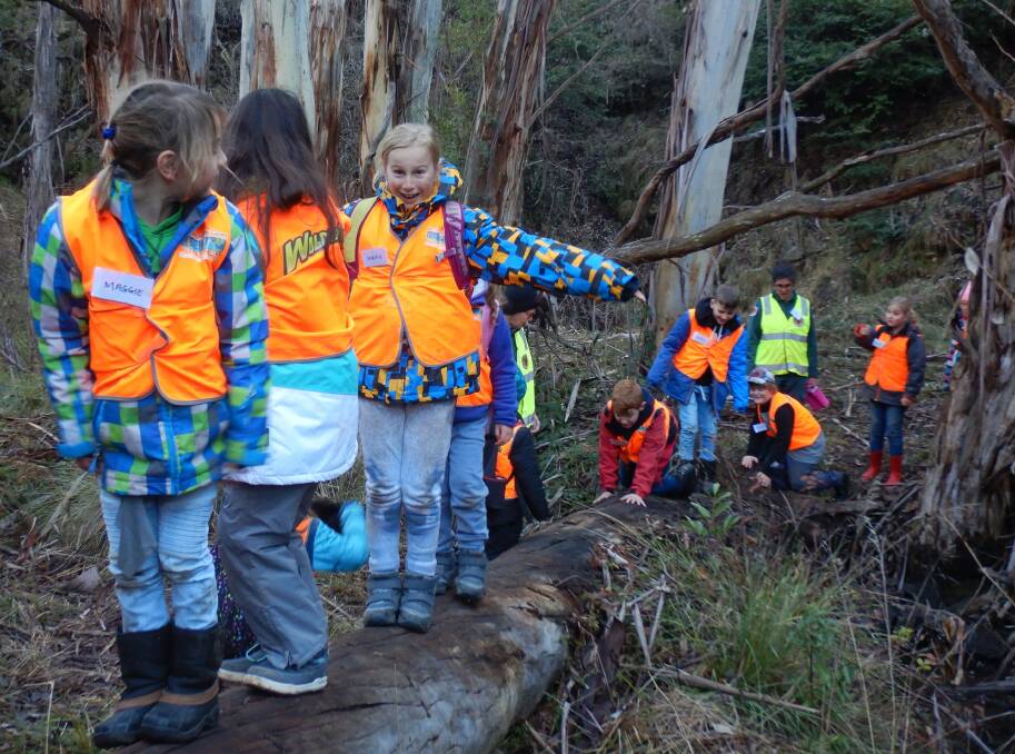 The youngsters cross the icy Rules Creek. Photo: Tim the Yowie Man