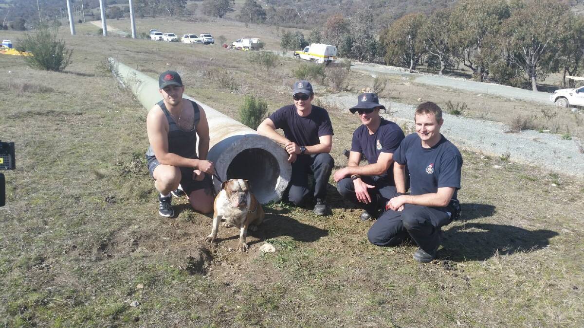 Chief the Bulldog with his owner Billy Blacka and ACT Fire & Rescue specialist rescue firefighters who spent two hours trying to rescue Chief before he wriggled himself out. Photo: Supplied by ESA media