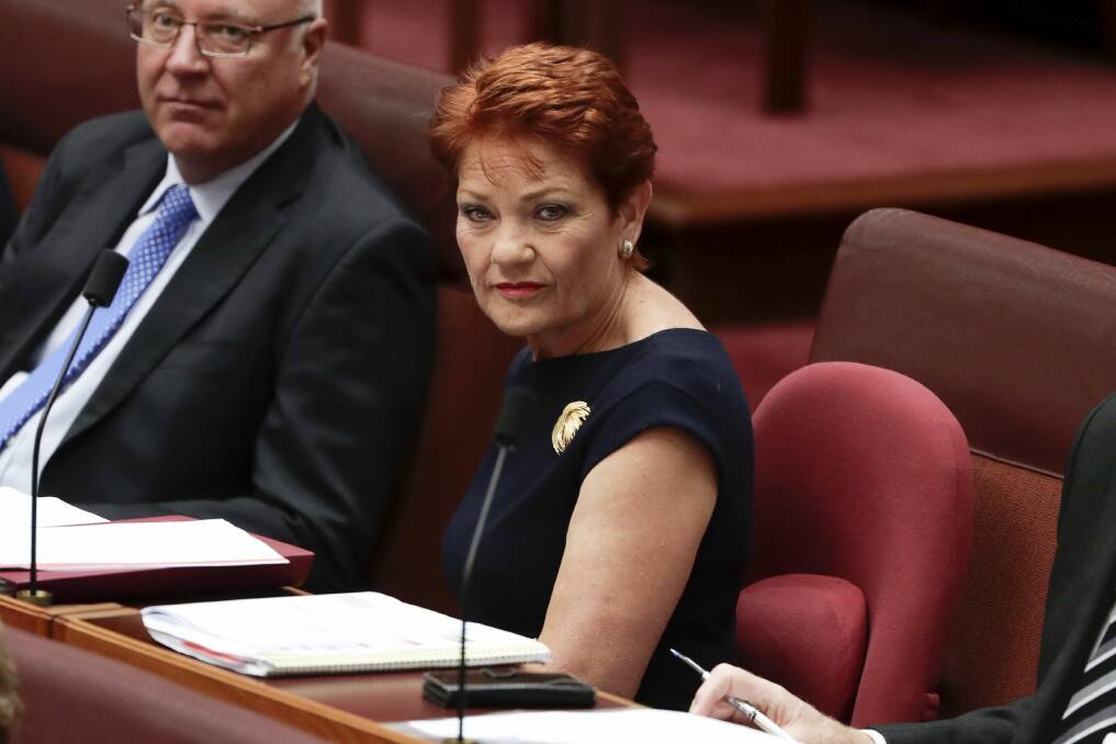 One Nation's Pauline Hanson. Photo: Alex Ellinghausen