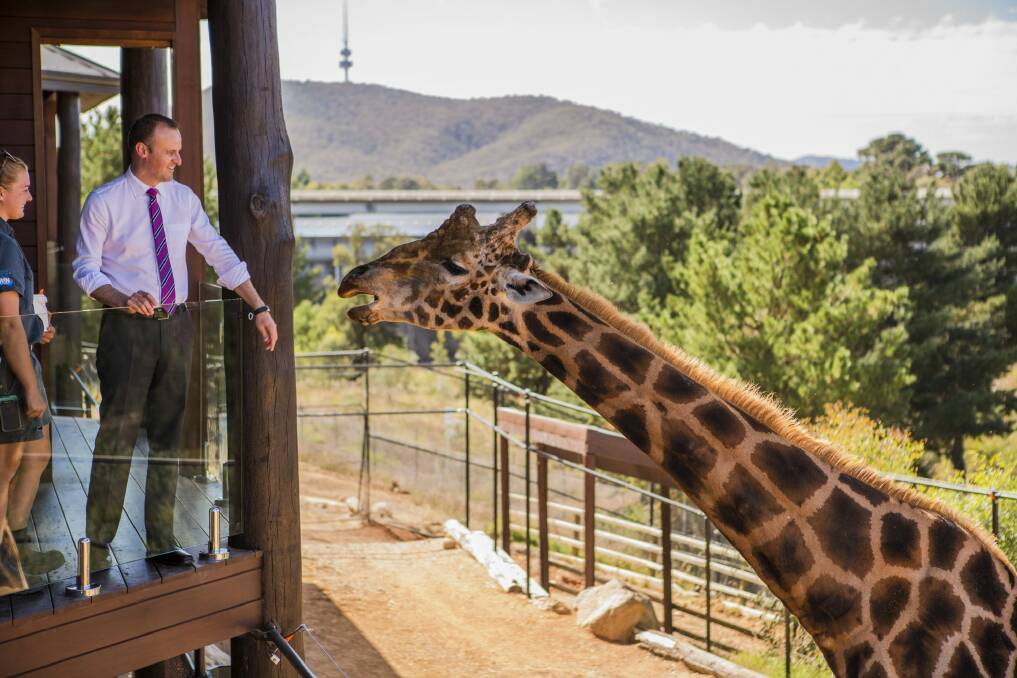 Chief Minister Andrew Barr was keen to give land to the zoo, if it was still wanted. Photo: Jamila Toderas