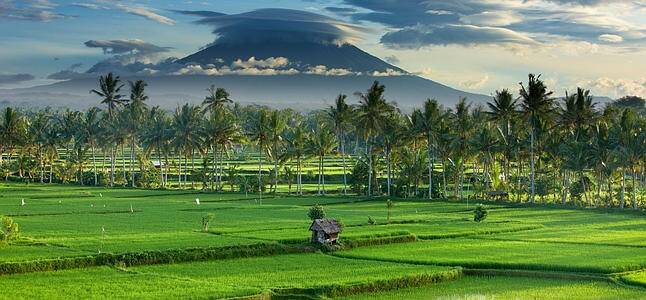 The air in Bali felt markedly cleaner, and easier to breathe, than that in Jakarta. Photo: AFR