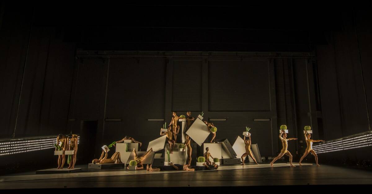 Sydney Dance Company presents Alexander Ekman's Cacti.  Photo: Peter Greig