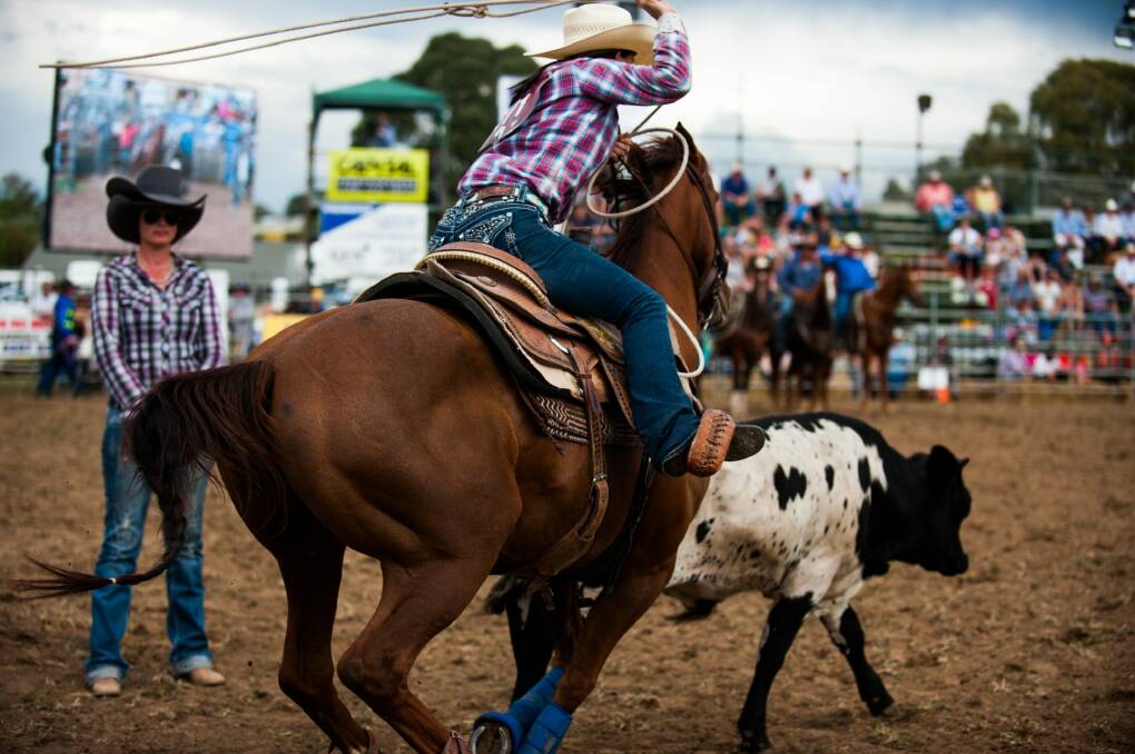 Hodson says there are plenty of variables in rodeo events, particularly in breakaway roping. Photo: Elesa Kurtz