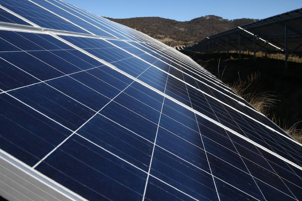 Panels at the Royalla solar farm. Photo: Andrew Meares