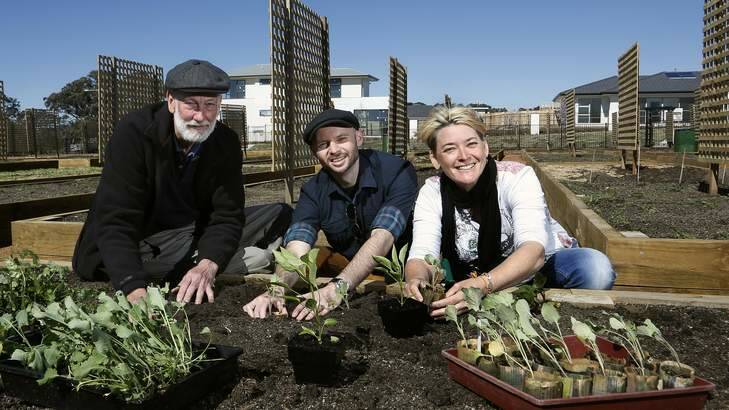 Keith Colls from the Canberra organic growers society with Crace community gardener Greg Parish and former Masterchef contestant Michelle Darlington plant some seedlings in the new Crace Community Garden. Photo: Jeffrey Chan