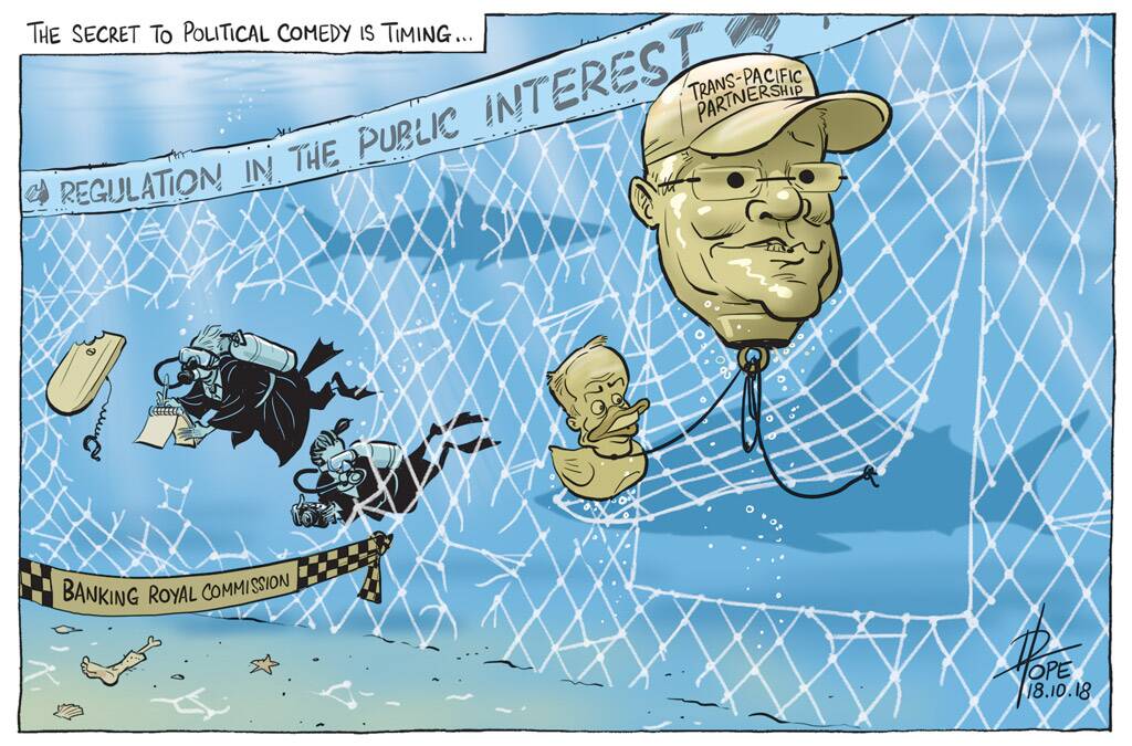 The Canberra Times editorial cartoon October 18.  Photo: David Pope