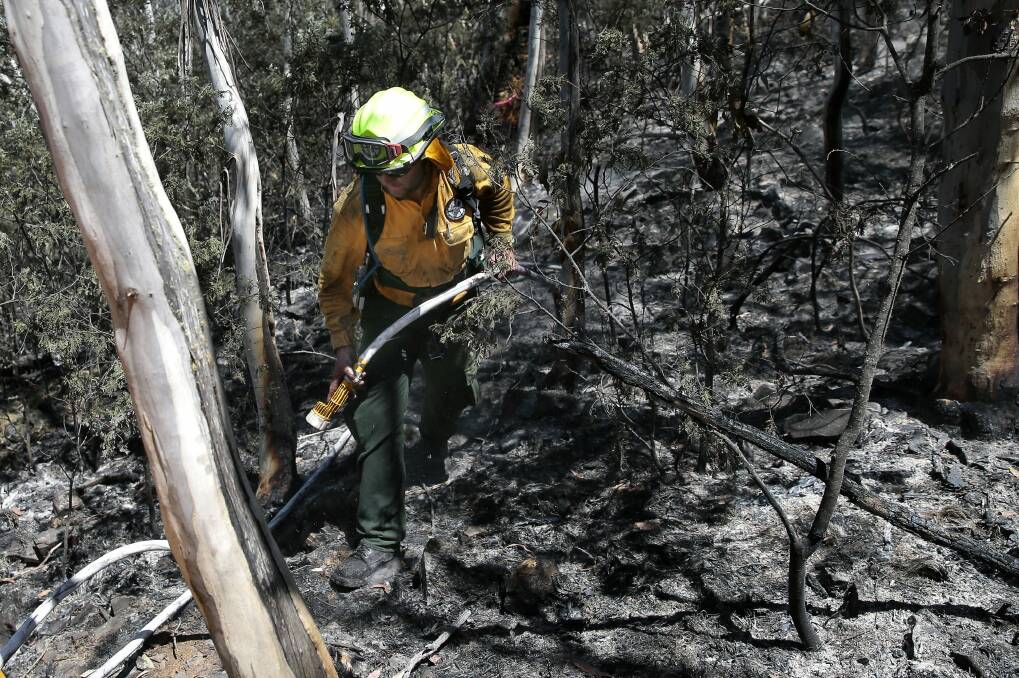 ACT Parks & Wildlife firefighter Ben Stevenson checking for spot fires at the Mt Clear bushfire in December last year.  Photo: Jeffrey Chan