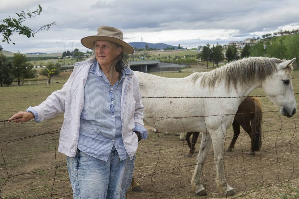 Celia Kneen has grazed horses or ponies on the block for 23 years. Photo: Elesa Kurtz
