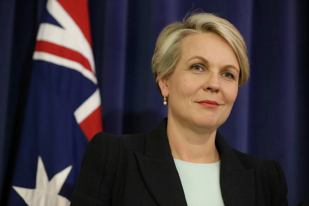 Deputy Opposition Leader Tanya Plibersek during a joint press conference with Opposition Leader Bill Shorten where they announced the shadow ministry, at Parliament House in Canberra on Saturday 23 July 2016. Photo: Alex Ellinghausen Photo: Alex Ellinghausen