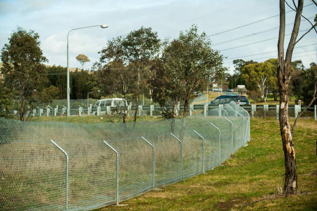 Kangaroo fencing is being installed along the Tuggeranong Parkway.
 Photo: Elesa Kurtz