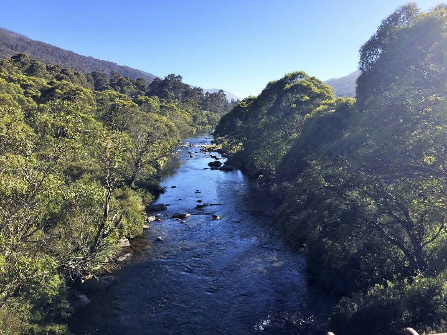 Early morning mist gives way to a sunny morning: looking upriver from the top of one of five purpose bridges which now span the Thredbo River between Thredbo  and Lake Crackenback. Photo: Susie Diver