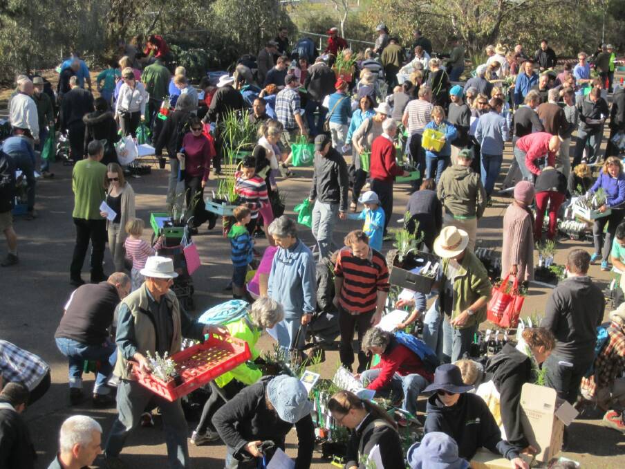 Canberra gardeners descend (like locusts) on the ANPS plant sale. Photo: ANBG