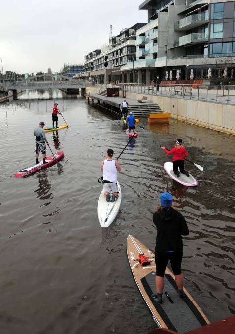 Paddleboarders make their way to the Kingston foreshore. Photo: Graham Tidy