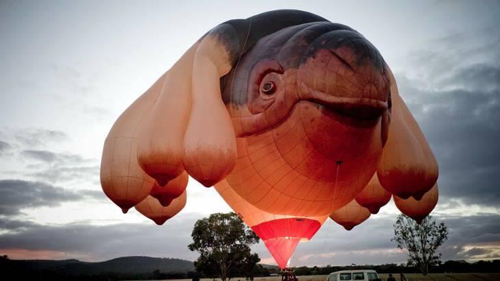 The Skywhale. Photo: Supplied