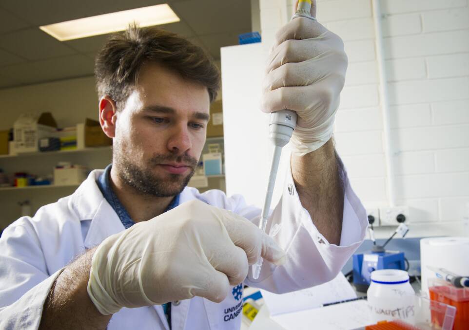 University of Canberra's Jack Rojahn performing DNA extraction during his research into the northern corroboree frog. Photo: Elesa Kurtz