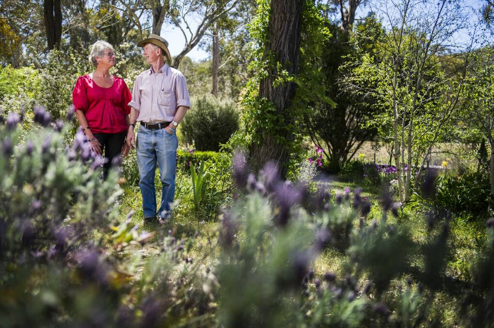 Remembrance: Hugh and Janny Poate at their property in Gundaroo. Photo: Rohan Thomson