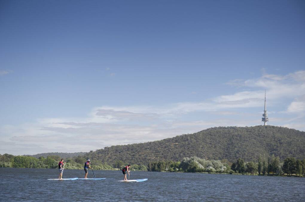 Paddle boarders on Canberra's Lake Burley Griffin. Photo: Jay Cronan