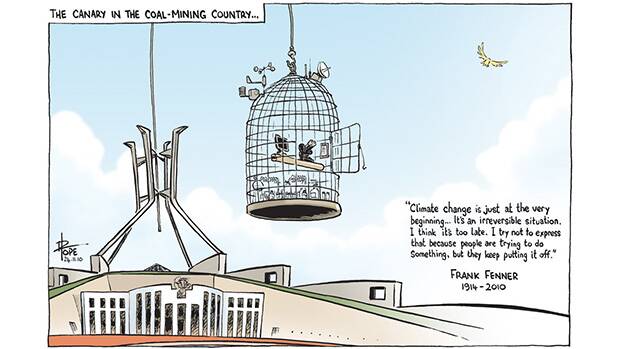 The Canberra Times editorial cartoon for November 24, 2010. Photo: David Pope