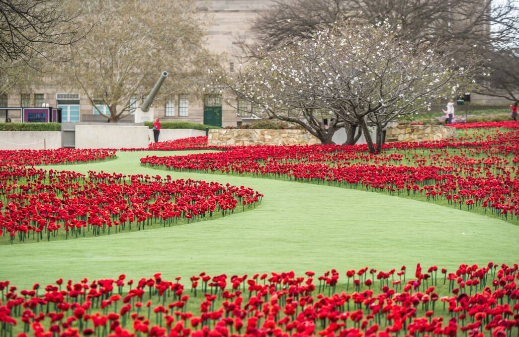 Hand-crafted poppies on the grounds of the Australian War Memorial; Canberra's most reviewed and highest rated attraction on TripAdvisor. Photo: Karleen Minney