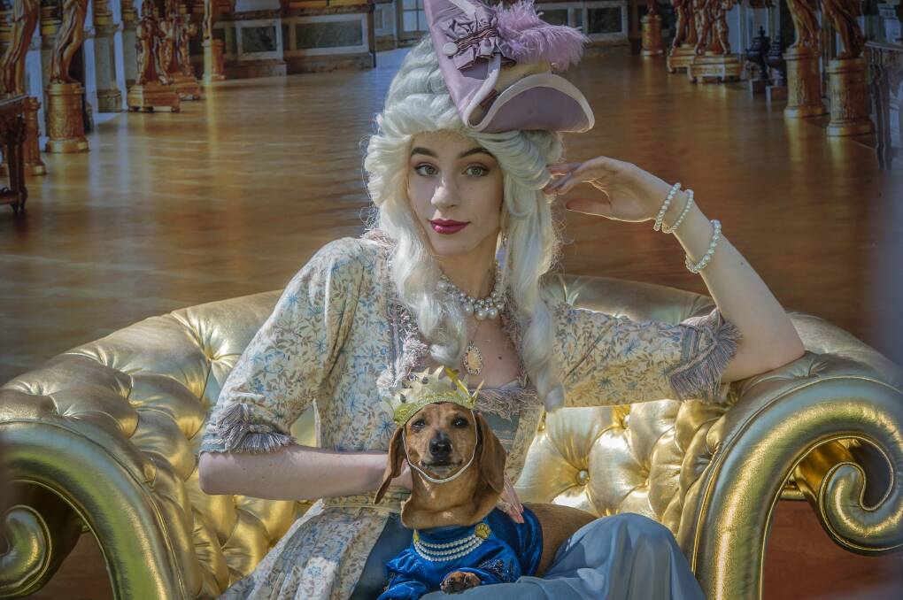 Marie Antoinette (aka Claire Mackey) and canine friend Diesel dress up in preview for the NGA's Paws for Art event. Photo: Karleen Minney