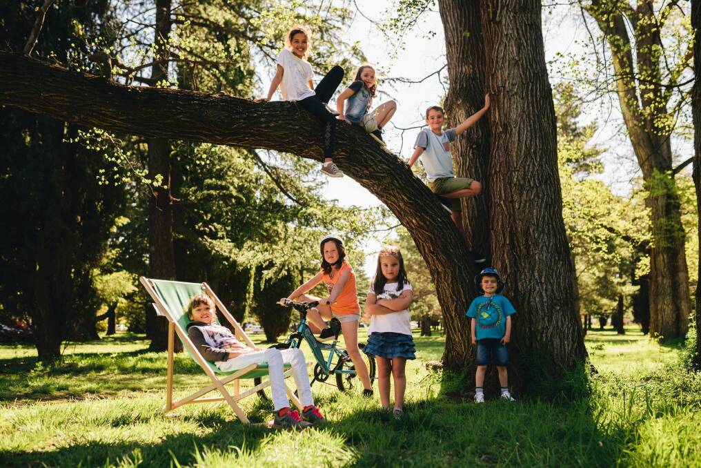 Eden Seck, 10, Emily Bodman, 7, and Harry Bodman, 9 (in tree), and Miriama Seck, 8, Lillian Hogan, 7, Holly Bodman, 4, and  James Horner, 6, in Haig Park in Braddon. Photo: Rohan Thomson