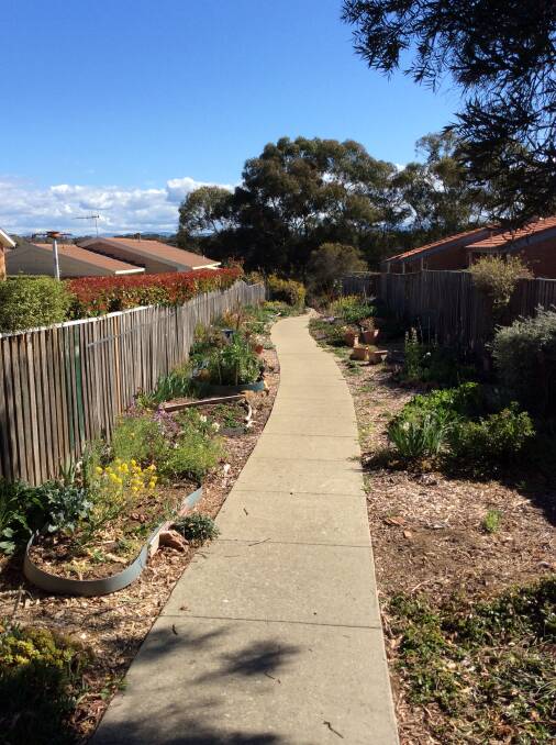 Laneway planted with edibles in Melba.  Photo: Susan Parsons