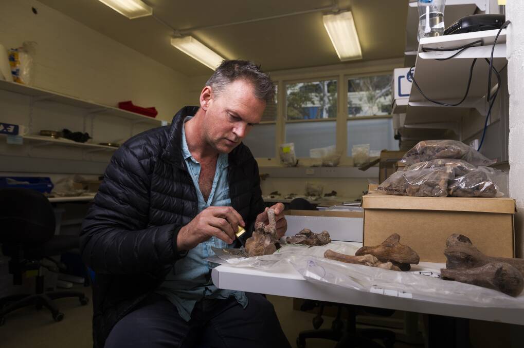 Associate professor at ANU Geoff Clark was part of the team that analysed bones from Madagascar. Photo: Dion Georgopoulos