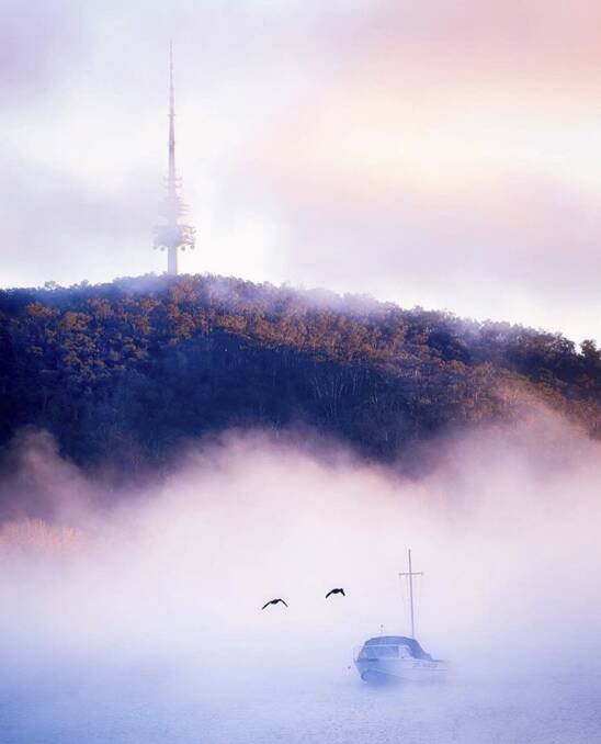 A perfect Canberra scene of winter fog.  Photo: @carolelvin
