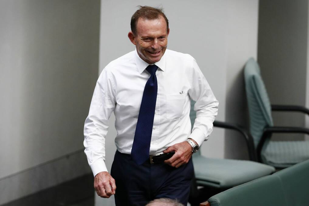 Tony Abbott has been critical of Cory Bernardi's defection to create his own conservative movement. Photo: Alex Ellinghausen